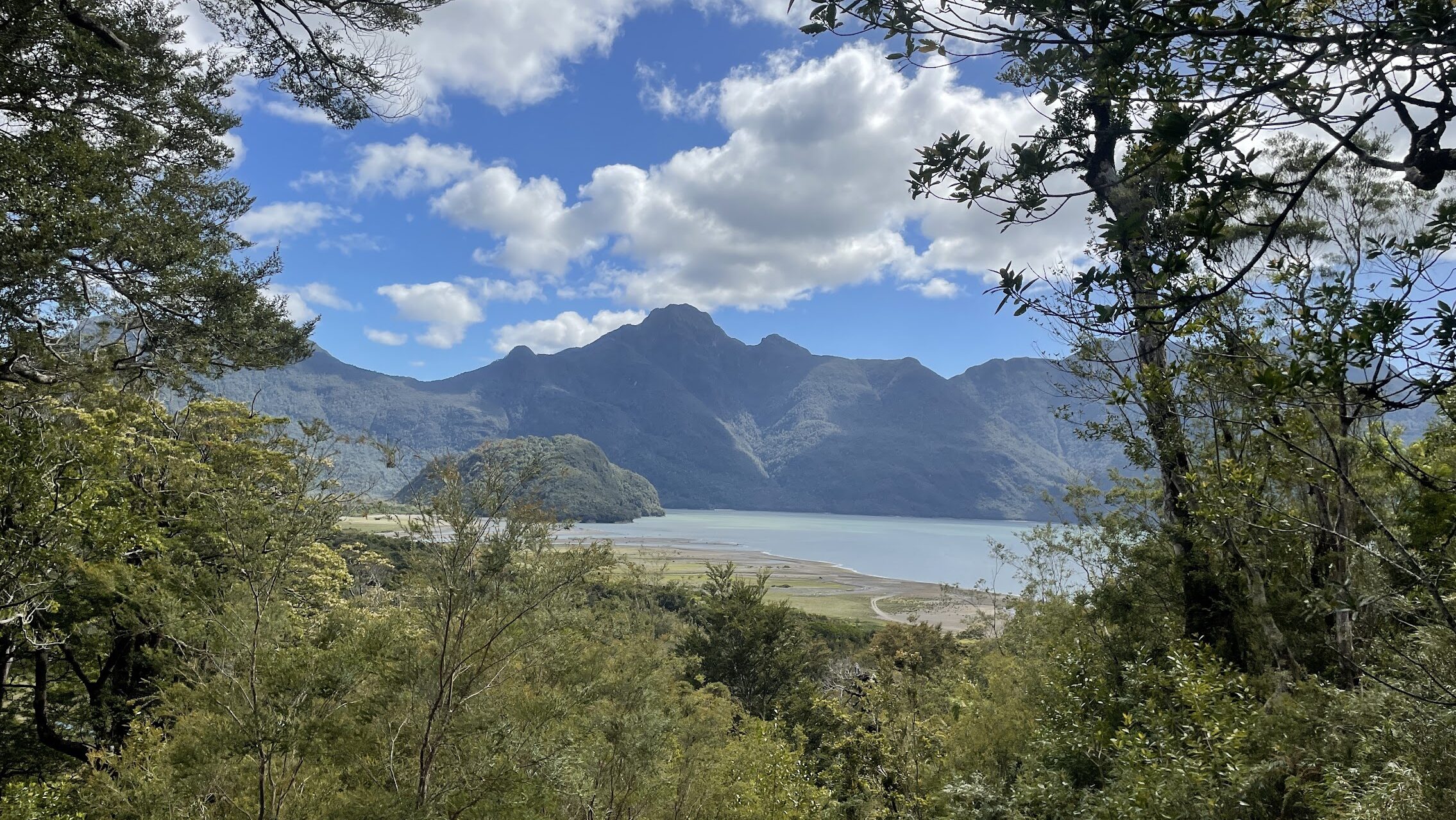 Through an opening between the trees and plants of a forest a mountain stands along a body of water. White, puffy clouds graze the top of the mountain.